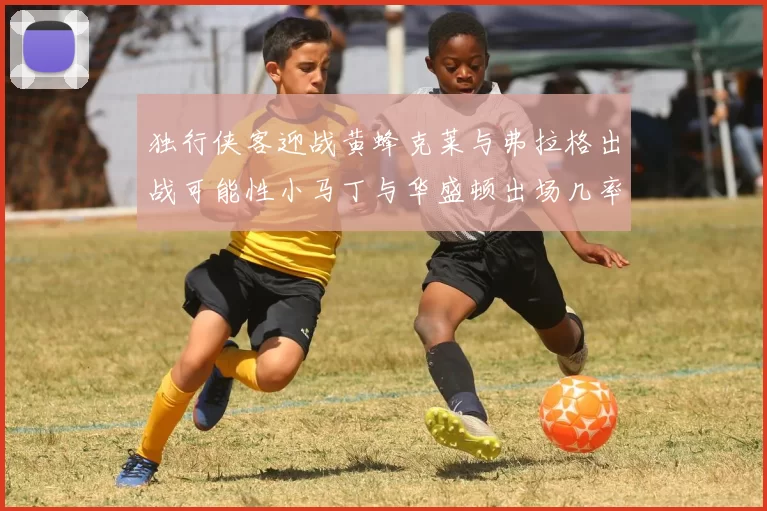 独行侠客迎战黄蜂克莱与弗拉格出战可能性小马丁与华盛顿出场几率高