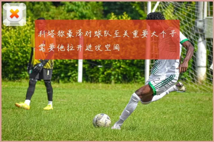 科塔称豪泽对球队至关重要大个子需要他拉开进攻空间