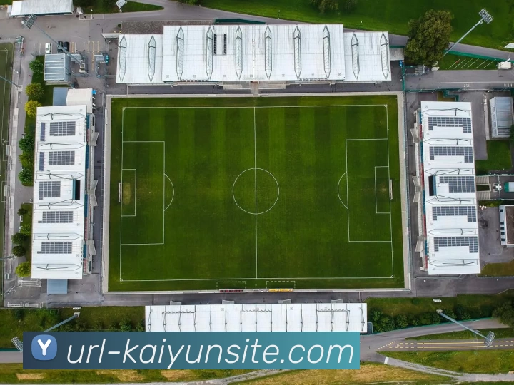 开云体育APP 高清赛事图